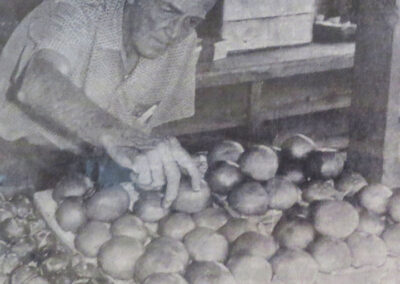 Ross Cronise 1966 arranging fruit at the stand