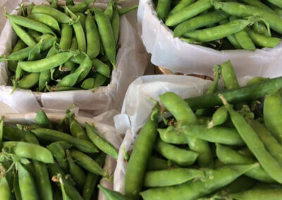 fresh snap peas