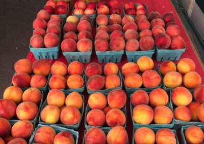 lots of fresh peaches and nectarines at Cronise Market Places