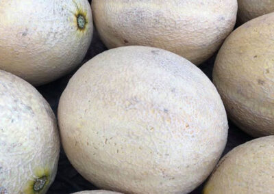 Cantaloupes