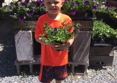 little boy holding a petunia plant